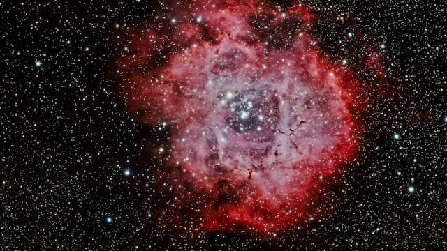 Horóscopo de Virgo para HOY, jueves 19 de febrero: ¿cómo te irá en el amor, la salud y el trabajo?