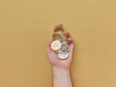 Bitcoin Cash: a cuánto cotiza este viernes 16 de enero