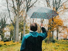 La predicción del tiempo para este martes 25 de noviembre: cómo estará el clima en cada ciudad de España