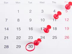 Día Internacional del Gato: por qué se celebra el viernes 20 de febrero