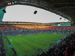 Ni estadísticas ni expertos: el Mundial donde un animal acertó casi todos los resultados