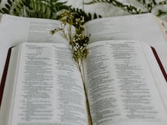 Día de San Casimiro: la oración para tener su guía y protección este miércoles