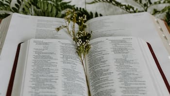 Día de San Casimiro: la oración para tener su guía y protección este miércoles