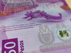 Precio del DÓLAR CANADIENSE a peso mexicano HOY martes, 20 de enero: ¿a cuánto cerró su cotización?