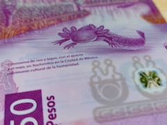 Dólar a peso mexicano HOY: a cuánto cerró la cotización de este miércoles 25 de marzo
