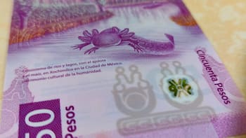Precio del DÓLAR a peso mexicano HOY jueves, 4 de junio: ¿a cuánto cerró su cotización?