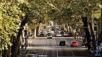 Hoy No Circula: los autos que no pueden transitar este lunes 4 de mayo