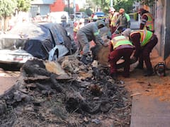Temblor en México HOY: de cuánto fue el terremoto en Baja California Sur este sábado 24 de enero