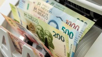 Euro a peso mexicano HOY: a cuánto cerró la cotización de este viernes 16 de enero