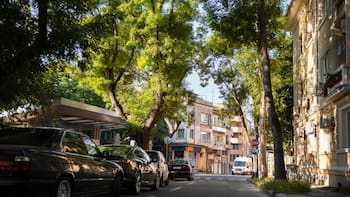 Atención conductores: los autos que tienen prohibido circular en CDMX y Edomex este sábado 13 de diciembre