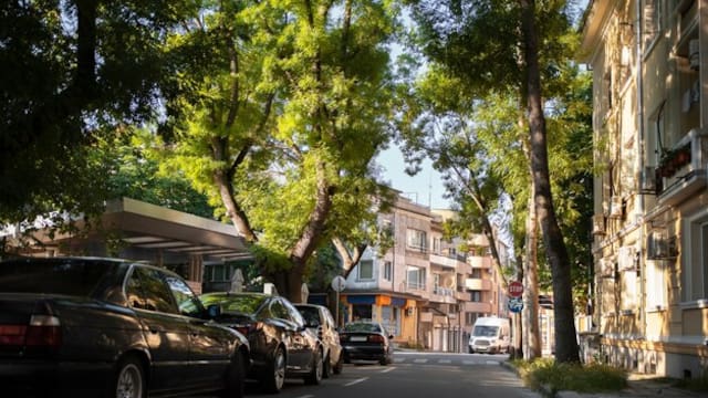 Atención conductores: los autos que tienen prohibido circular en CDMX y Edomex este sábado 13 de diciembre