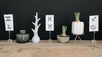 Horóscopo de Capricornio: la predicción de los astros para este lunes 16 de febrero