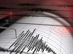 Temblor HOY: reportan un terremoto en Coahuila este lunes 16 de marzo