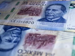 Precio del DÓLAR a peso mexicano HOY miércoles, 25 de febrero: ¿a cuánto cerró su cotización?