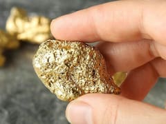 ¿El fin de la pobreza? |Encuentran una planta que produce oro puro y se puede cultivar cualquier casa