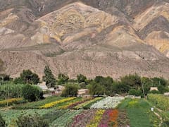 Orgullo nacional: una localidad argentina fue elegida como la mejor del mundo