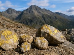 Hallazgo histórico: localizan miles de toneladas de oro a más de 1900 metros de altitud