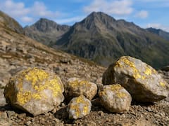 Hallazgo histórico: localizan miles de toneladas de oro a más de 1900 metros de elevación