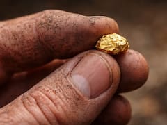 Cuesta una fortuna: el aparato que posees en tu hogar y contiene oro de 22 quilates