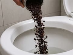 Echar café utilizado al inodoro: para qué funciona y por qué lo aconsejan