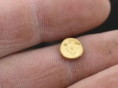 Todos lo botan a la basura pero incluye oro de 22 quilates que cuesta miles de dólares