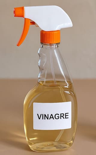 Asombroso: por qué sugieren combinar vinagre con agua oxigenada y para qué funciona