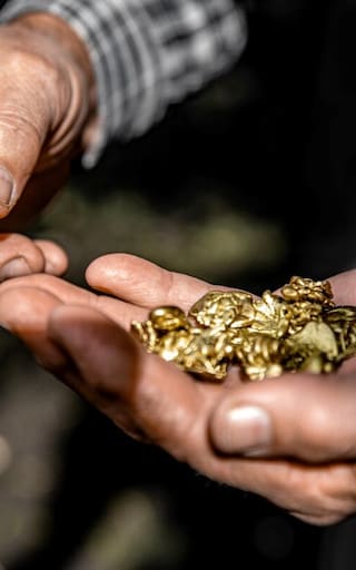 Todos lo tiran a la basura pero alberga oro de veintidós quilates que alcanza a costar miles de dólares