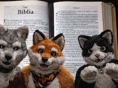 ¿Qué enseña la Biblia sobre los Therians?