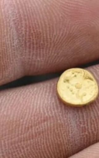Todos lo desechan a la basura pero contiene oro de veintidós quilates que llega a costar miles de dólares