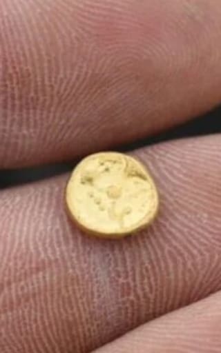 Una fortuna: el electrodoméstico que posee en su casa e incluye oro de 22 quilates