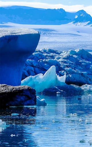 Descubrimiento del siglo | Encuentran en la Antártida animales marinos jamás antes observados que podrían reescribir la historia de la biología