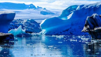 Descubrimiento histórico| Encuentran en la Antártida animales marinos jamás antes observados que podrían reescribir la historia de la biología