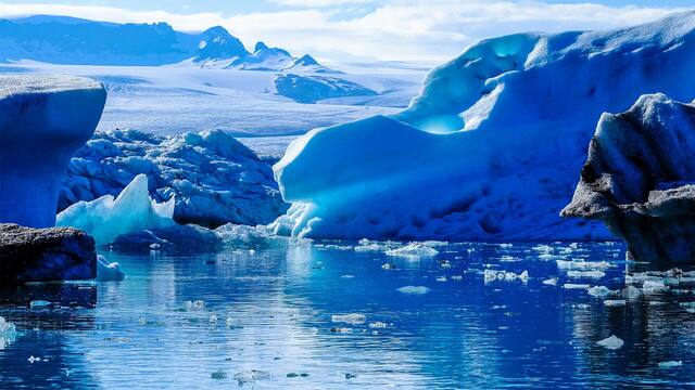 Descubrimiento histórico| Encuentran en la Antártida animales marinos jamás antes observados que podrían reescribir la historia de la biología