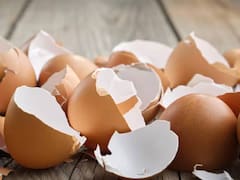 Mezclar cáscara de huevo con vinagre: para qué es útil y por qué lo sugieren