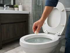 Poner un diente de ajo en el inodoro: para qué funciona y por qué sugieren hacerlo