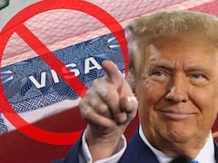 Fin de la visa | El nuevo documento legal que permitirá trabajar en California sin título universitario