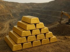 El descubrimiento del milenio | Exhuman monedas y lingotes de oro en un campo cultivado y pertenece a un solo país