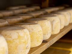Acuerdo Mercosur-UE bajo fuego: EE.UU. acusa a Europa de buscar un “monopolio” del queso