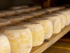 Ni Villa de Leyva, ni Barichara: visitantes se entusiasman con este municipio de Boyacá donde elaboran el queso más galardonado de Colombia