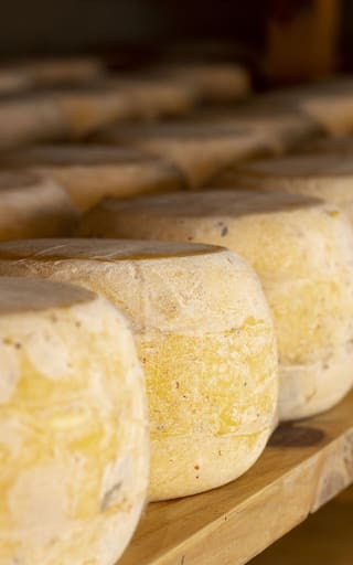 ¿Cuál es el pueblo de Boyacá que produce el queso más premiado de Colombia?