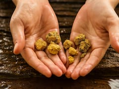 El hallazgo del siglo: localizan toneladas de oro sepultadas a 1000 metros de profundidad y corresponde todo a un solo país