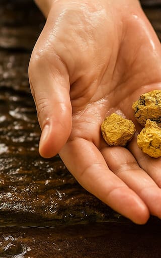 El hallazgo del siglo: localizan toneladas de oro sepultadas a 1000 metros de profundidad y corresponde todo a un solo país