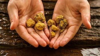 El hallazgo del siglo: localizan toneladas de oro sepultadas a 1000 metros de profundidad y corresponde todo a un solo país