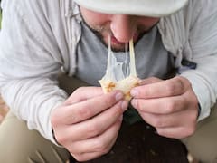 Extensas colas en Lidl por el aparato que resolverá todas tus comidas: cuesta menos de 10 euros