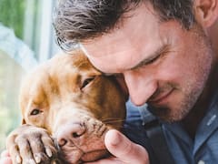 Cuidado veterinario sin costo: ¿quiénes pueden pedirla y cuáles son los requisitos?