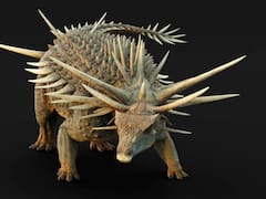 El descubrimiento del siglo | Encuentran un dinosaurio con “armadura de espinas” que vivió hace más de 100 millones de años