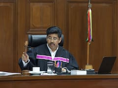 Ya es ley | No se podrá vender animales: la Corte Suprema los reconoció como seres sintientes y emitió la orden de prohibición