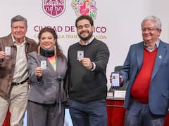 Licencia de Conducir Permanente 2026: quiénes, cómo y cuándo se podrá iniciar el trámite