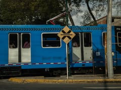 Adiós trenes: por orden ya no operarán de la misma forma y una nueva autoridad determinará cada aspecto de su funcionamiento
