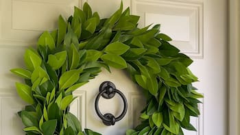 Es tendencia | Por qué sugieren colocar una hoja de laurel en la puerta y para qué funciona